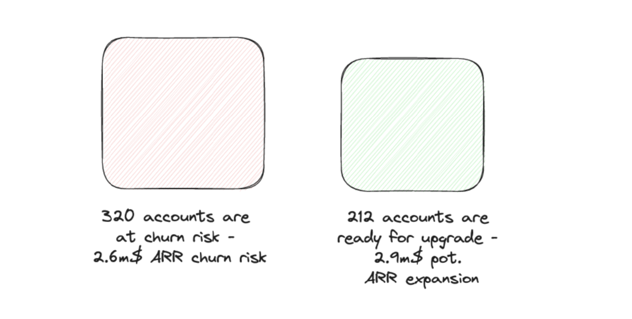 Revenue growth - churn risk vs expansion potential